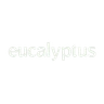 Eucalyptus